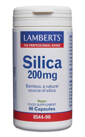 Lamberts Silica 200mg - 90 Caps