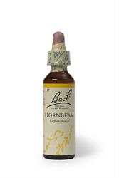 Hornbeam Remedy