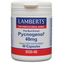 Lamberts Pycnogenol 40mg