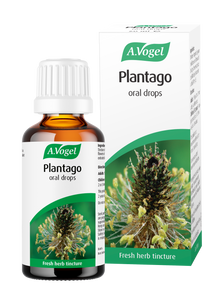 A.Vogel Plantago oral drops 50ml