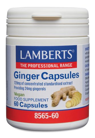 Lamberts Ginger