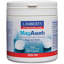 Lamberts MagAsorb