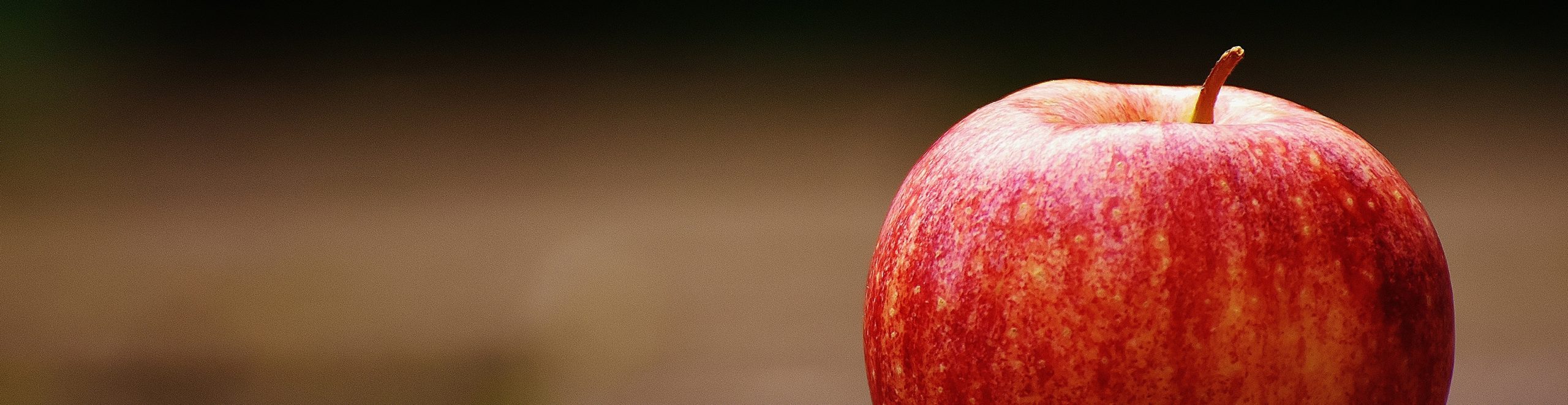 Apple Cider Vinegar header
