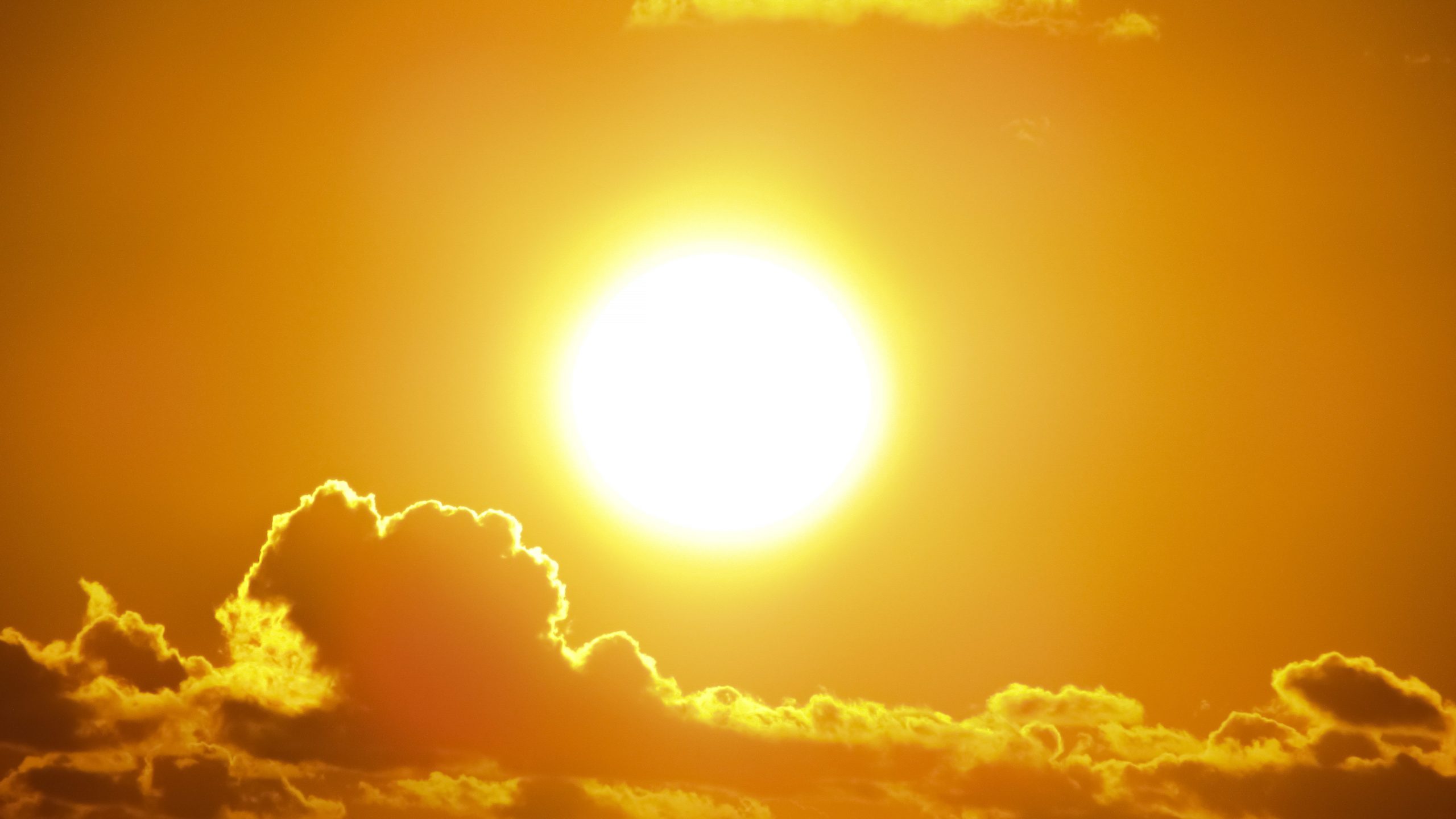 ‘Alarmingly high’ Vitamin D Deficiency in Britain