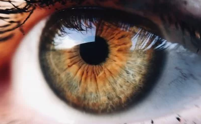 Does What You See Alter What You Hear?