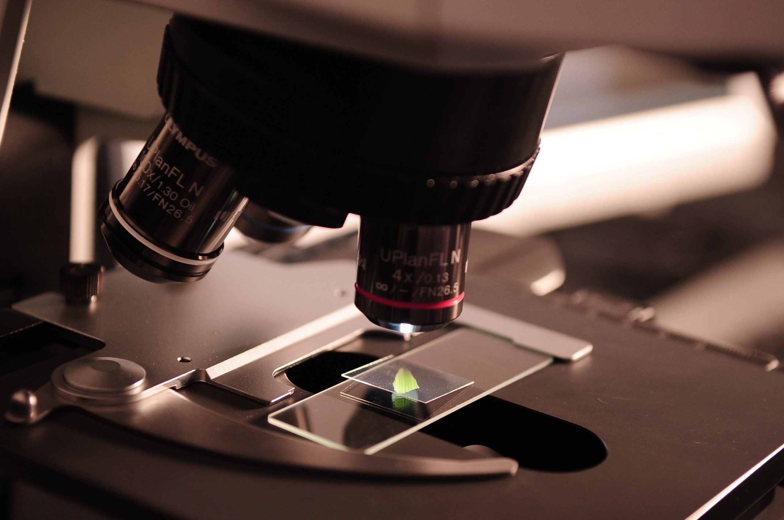 Noncoding RNA Has Unusual Effect on Immune Response