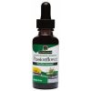 Natures Answer Passionflower Herb - 30ml - Image 2