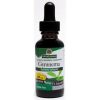 Nature's Answer Gymnema Leaf Alcohol Free Liquid Herbal Extract - Image 2