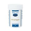BioCare HCl & Pepsin - 90 Veg Caps