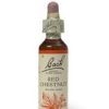 Bach Original Flower Remedies Bach Red Chestnut - 20ml