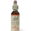 Bach Original Flower Remedies Bach Rock Rose - 20ml