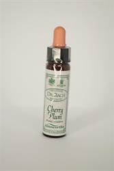 Cherry Plum