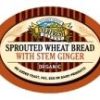 Organic Sprouted Stem Ginger Bread