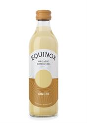 Organic Kombucha Soft Drink with Ginger