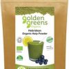 Greens Organic Organic Hebridean Kelp Powder - 100g
