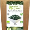 ORGANIC CHLORELLA 120X500MG