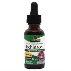 Echinacea Root AF