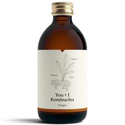 Organic Kombucha Ginger