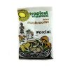 Tropical Wholefoods Porcini Mushrooms - 30g - Image 2