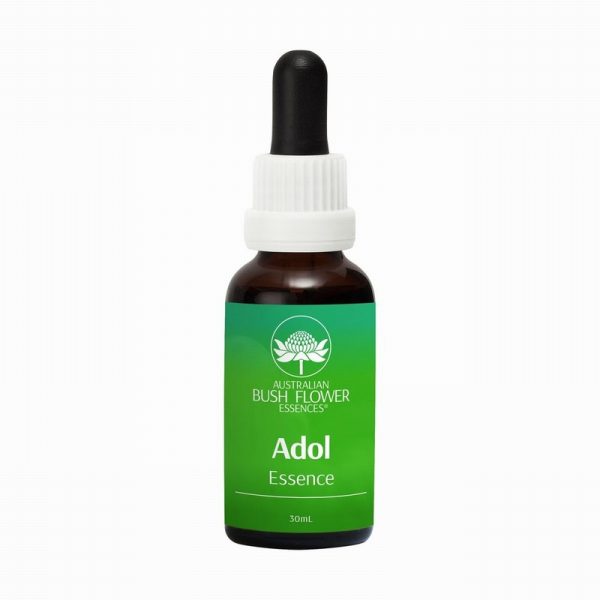 Adol Essence