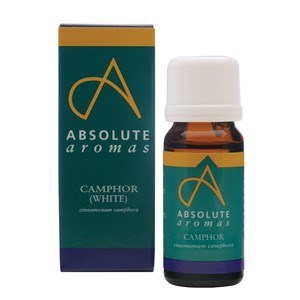Absolute Aromas Camphor Oil - 10ml - Image 2