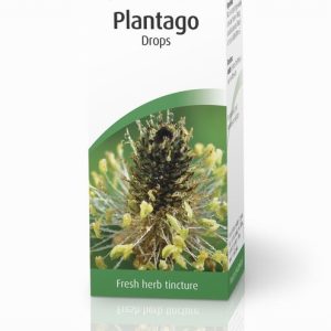 AVogel Plantago - 50ml Liquid