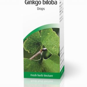 AVogel Ginkgo Biloba - 100ml Liquid
