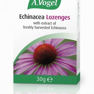 AVogel Echinacea Lozenges - 30g Lozenges