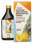 Floradix Saludynam - Calcium Magnesium & Zinc - 250ml - Image 2