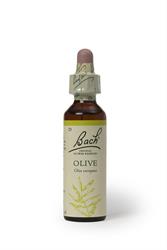 Bach Original Flower Remedies Bach Olive - 20ml