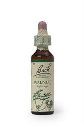 Bach Original Flower Remedies Bach Walnut - 20ml
