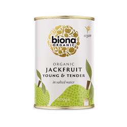 Biona Organic Young Jackfruit - 400g