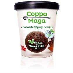Vegan Chocolate & Goji Berries Ice Cream