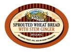 Organic Sprouted Stem Ginger Bread