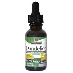 Dandelion Root AF - Image 2