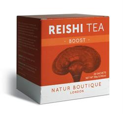 Reishi Tea