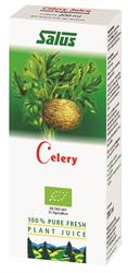 Organic Celery Fresh Plant Juice