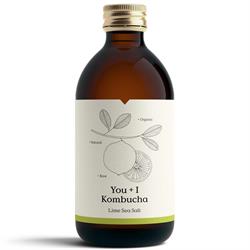 Organic Kombucha Lime Sea Salt