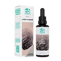 Lion's Mane Extract Tincture - Organic
