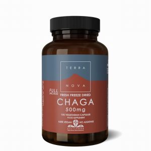 Terranova Chaga 500mg - 100caps
